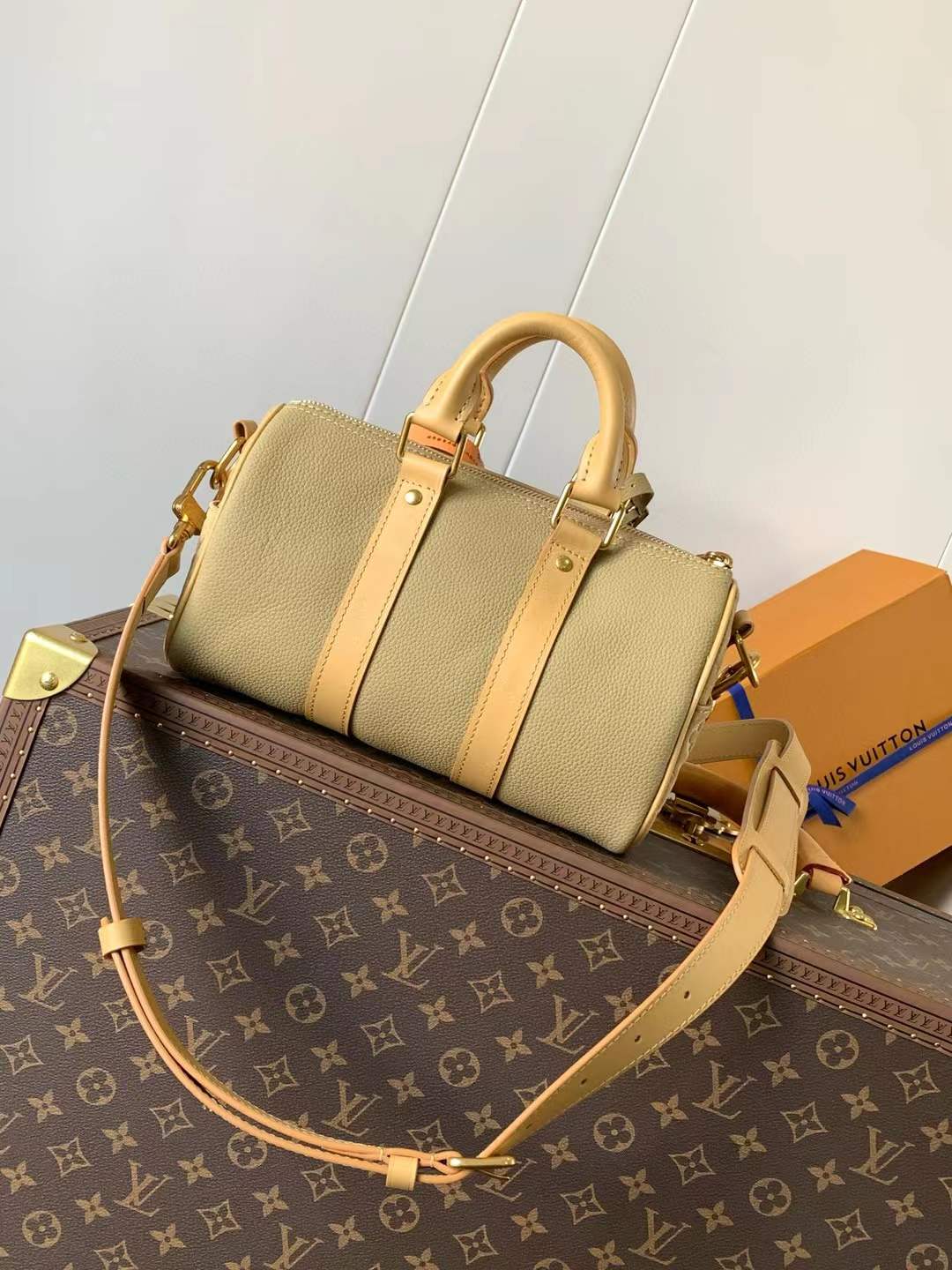 LV Keepall Bandoulière 25 bag