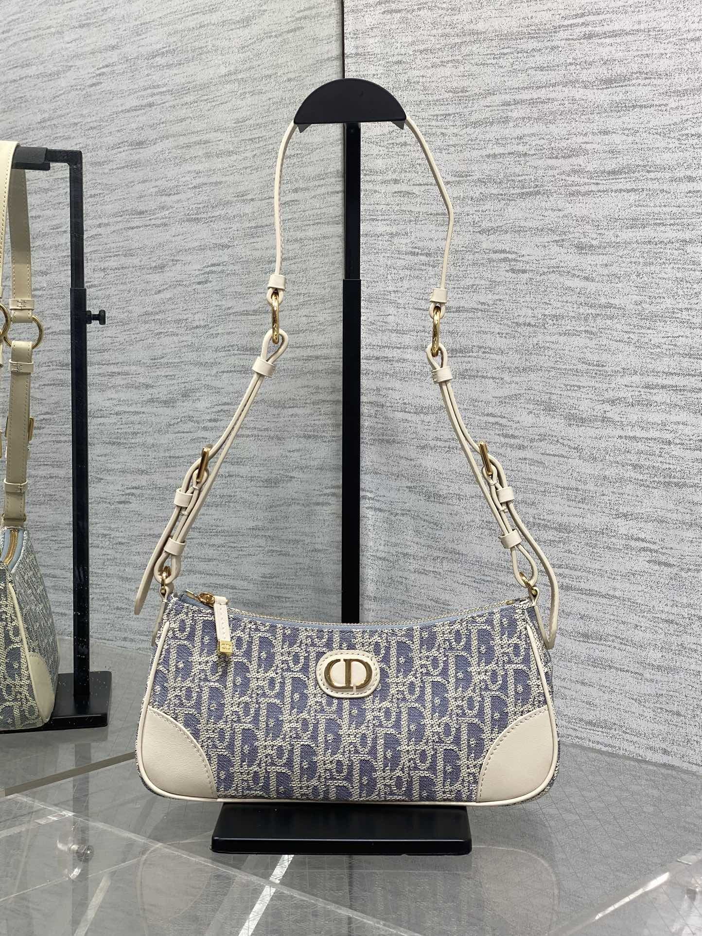 Dior 30 Montaigne Wanderlust mini bag in blue