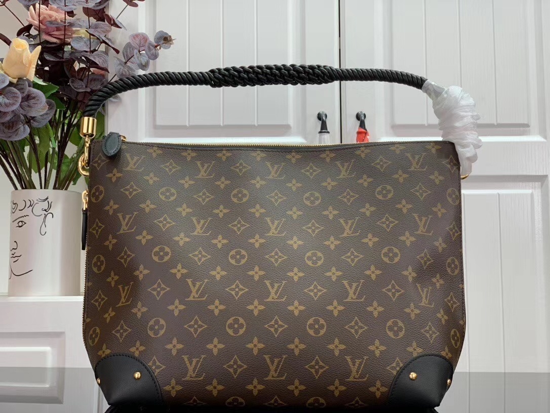LV Triangle Softy bag