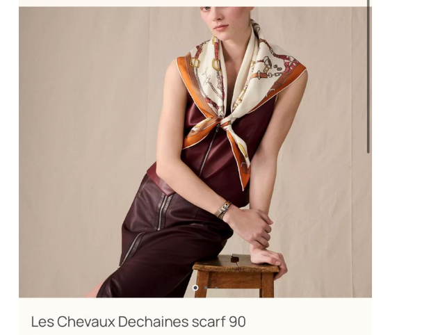 hermes Les Chevaux Dechaines scarf
