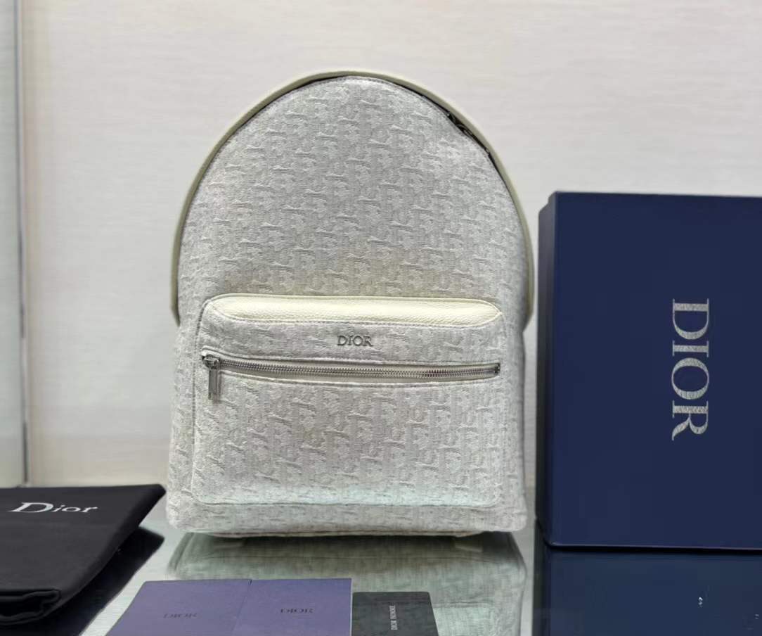 Christian Dior Rider Backpack in gray Oblique canvas