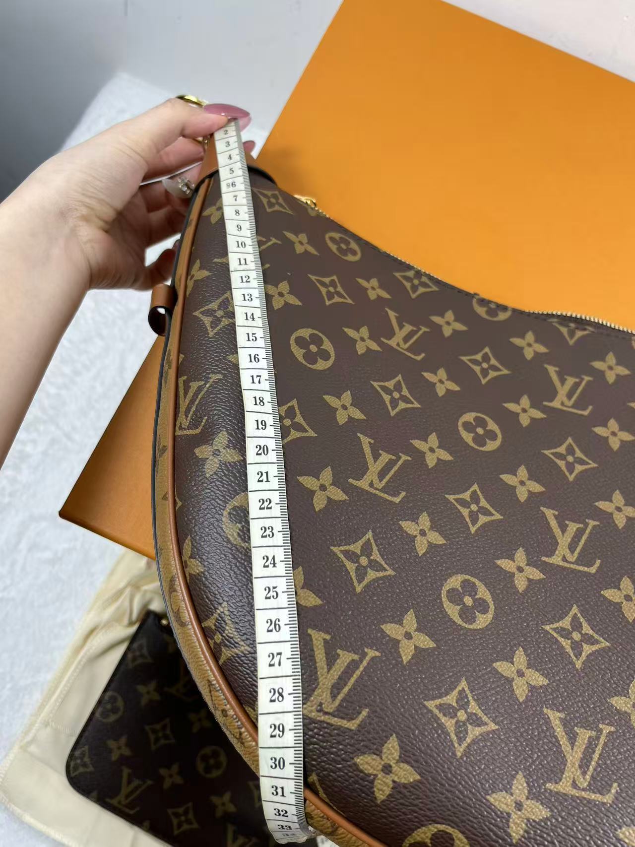 LV M46311 Loop Hobo bag