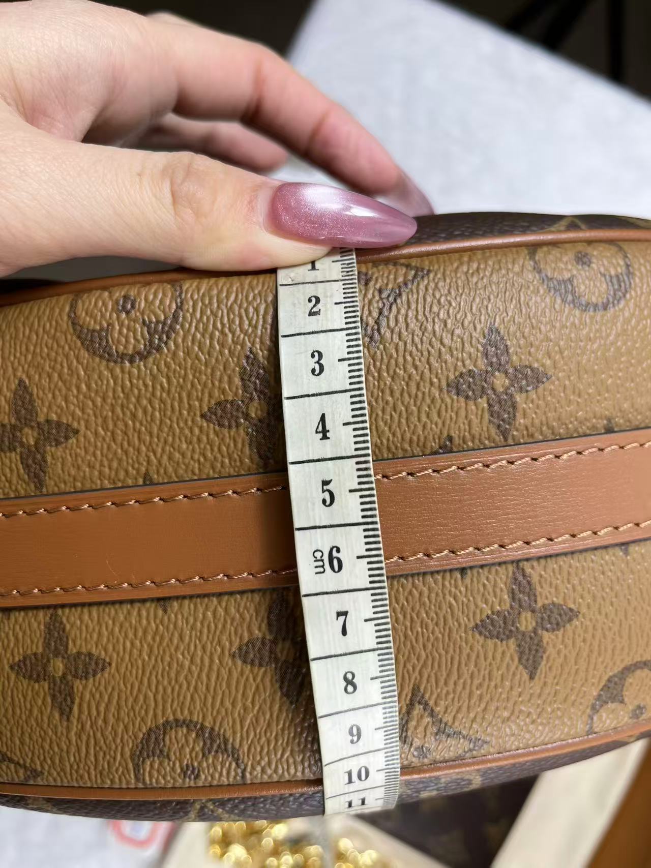 LV M46311 Loop Hobo bag