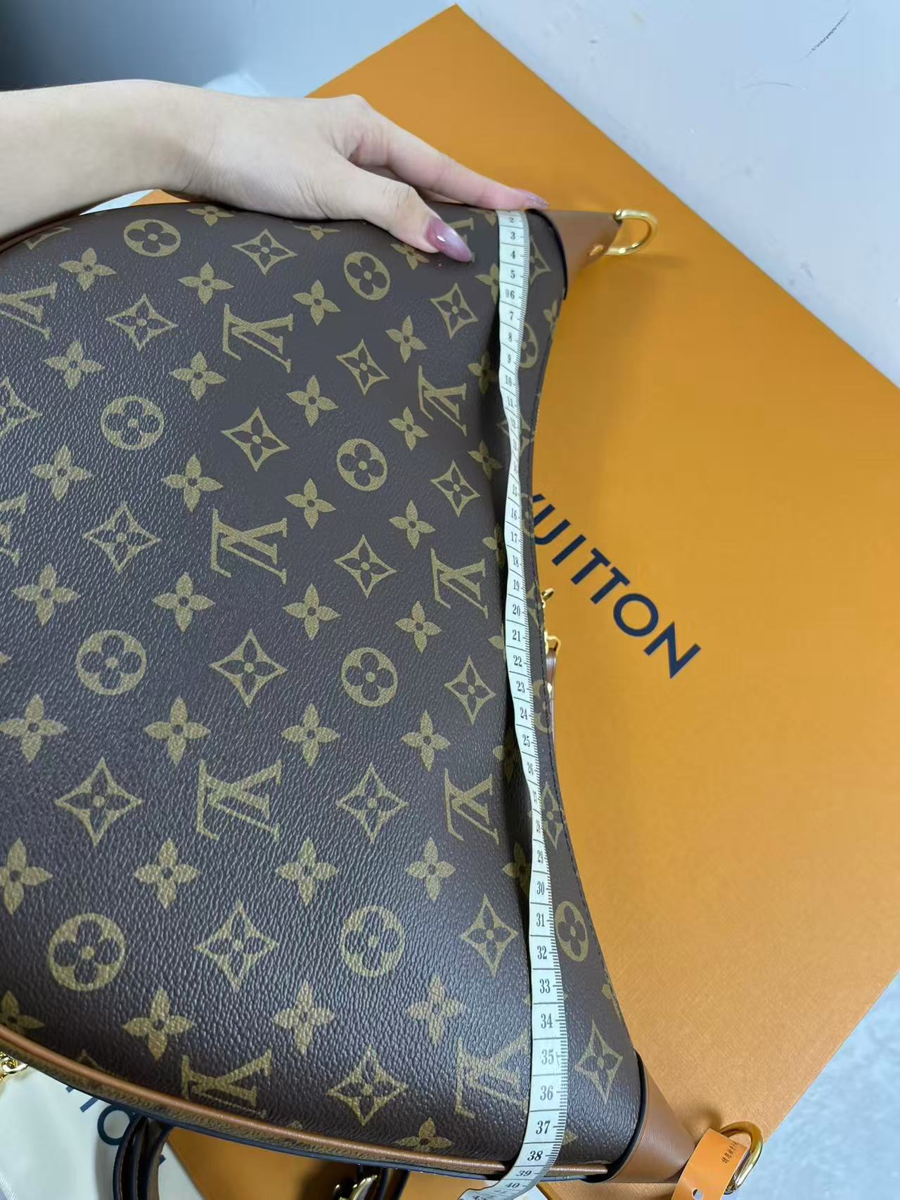LV M46311 Loop Hobo bag
