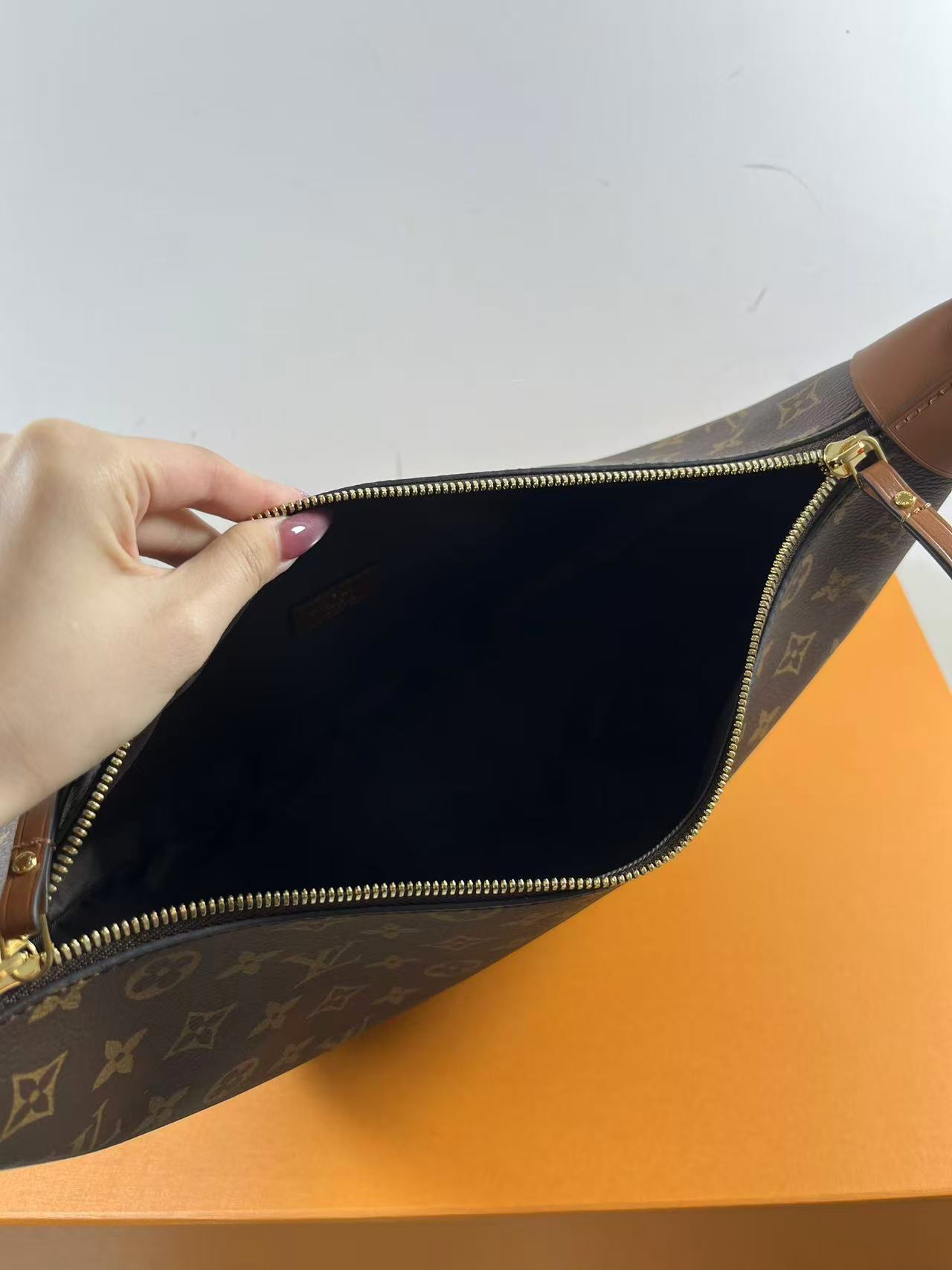 LV M46311 Loop Hobo bag