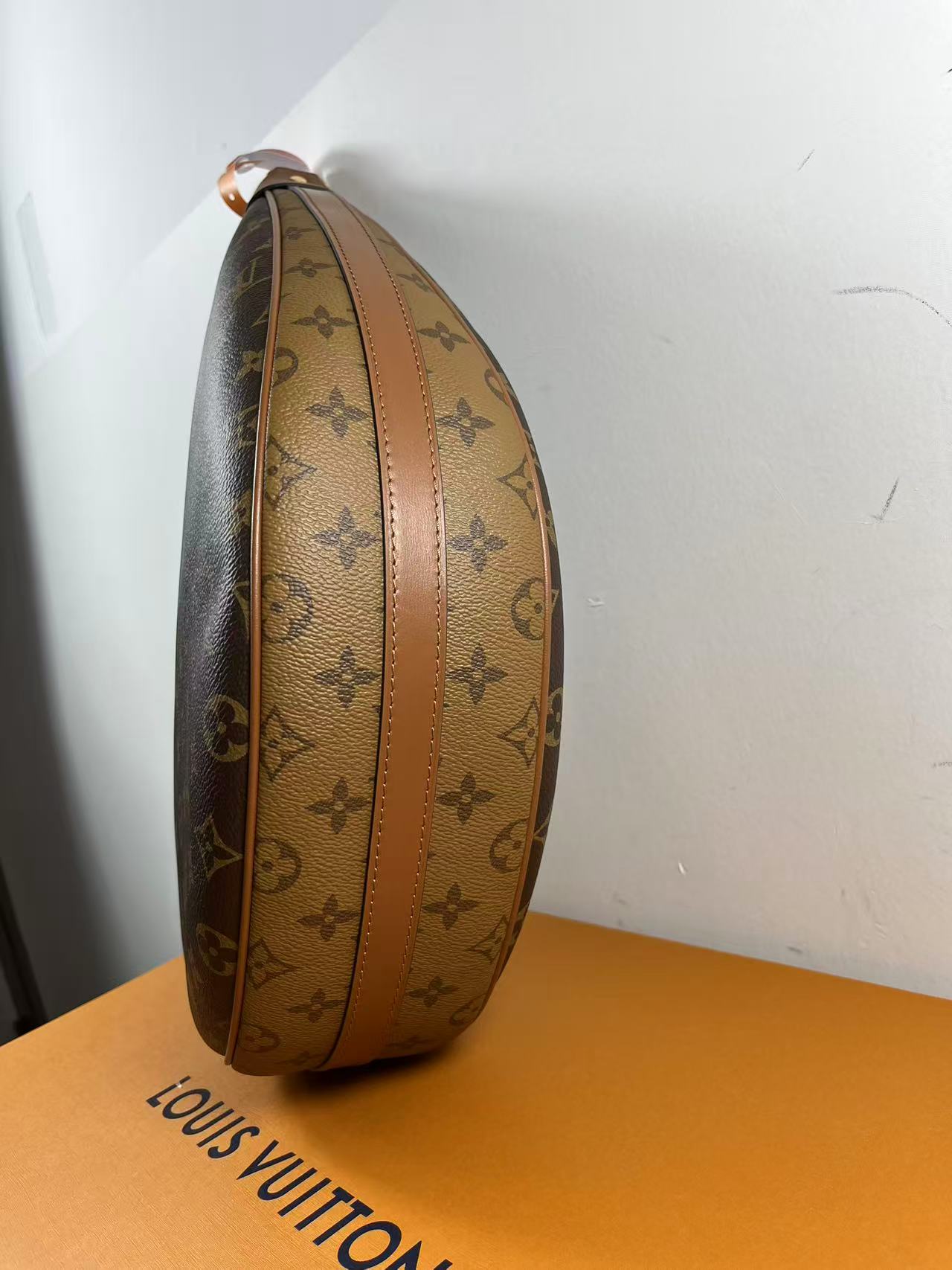 LV M46311 Loop Hobo bag