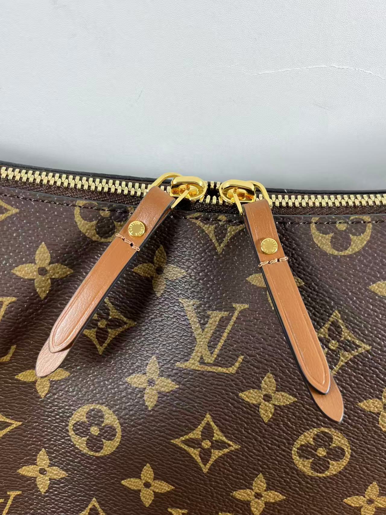 LV M46311 Loop Hobo bag