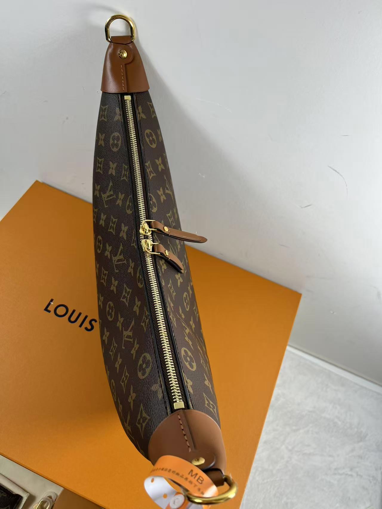 LV M46311 Loop Hobo bag
