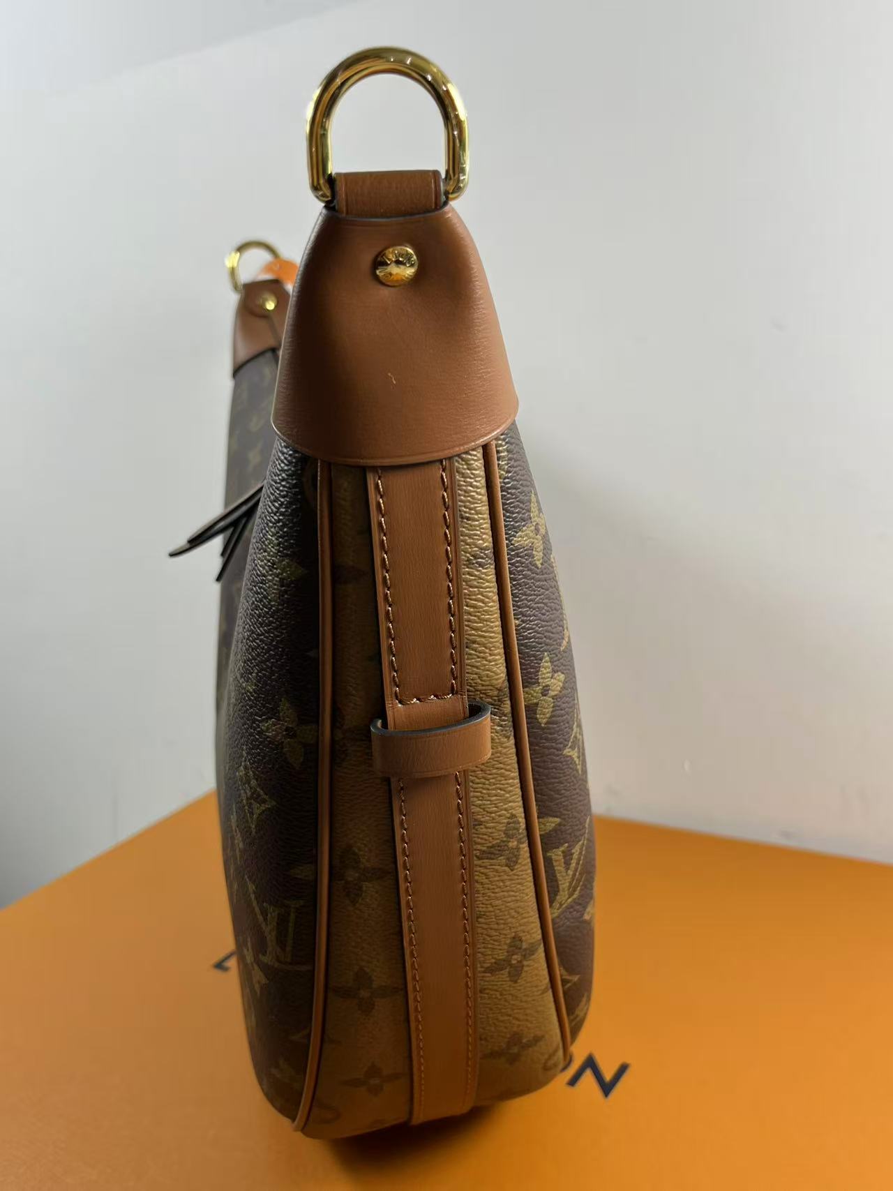 LV M46311 Loop Hobo bag
