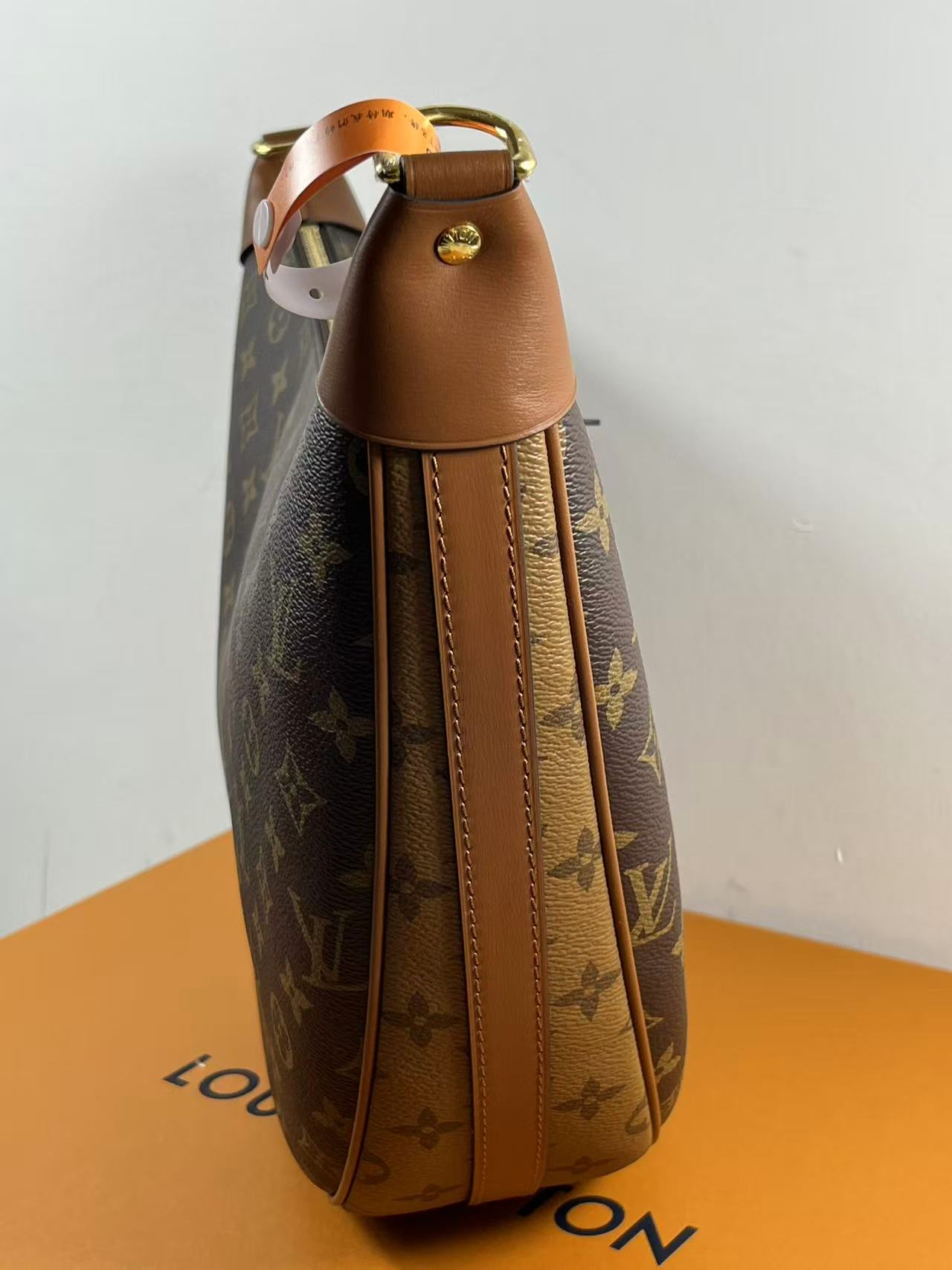 LV M46311 Loop Hobo bag