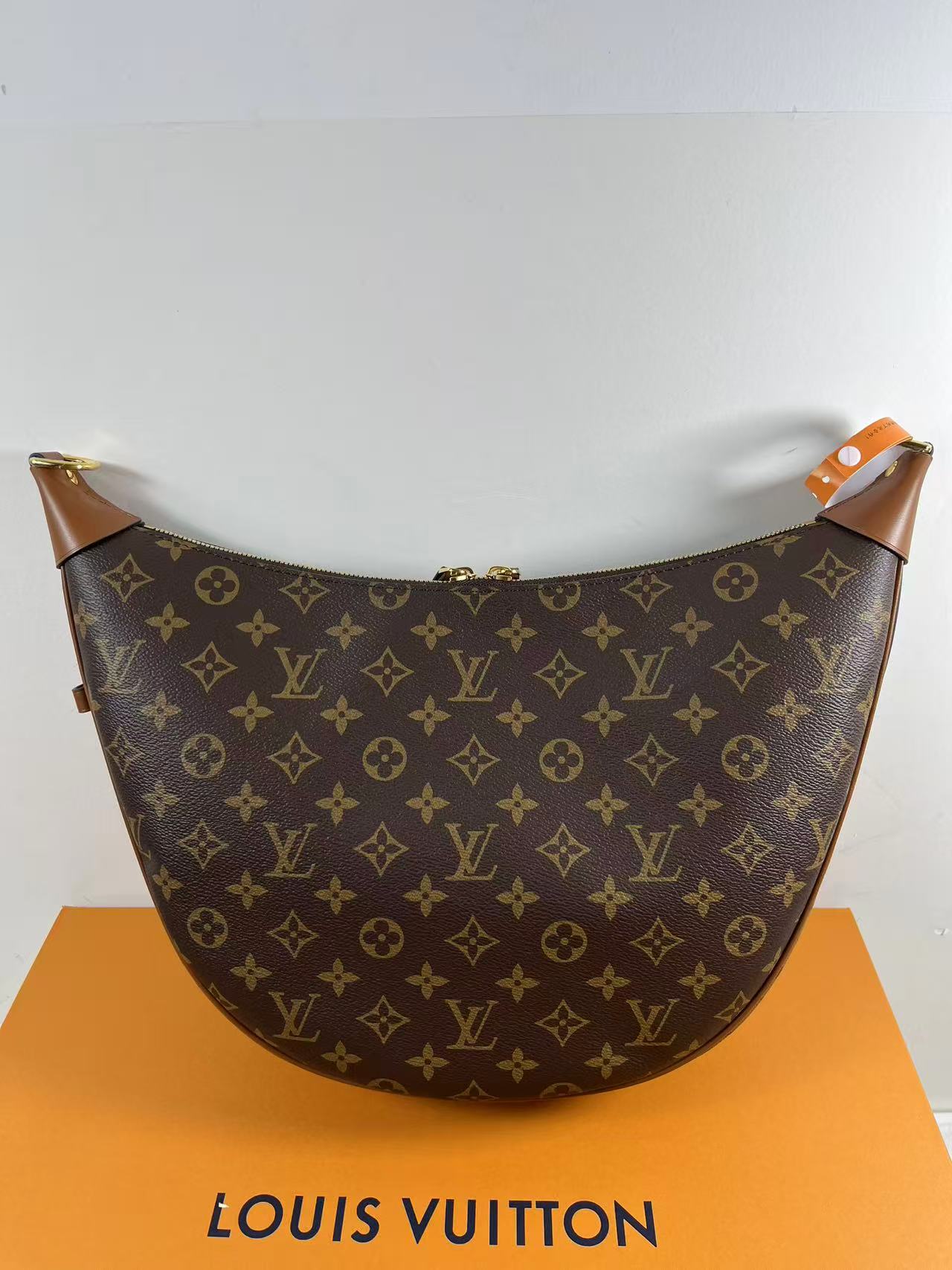LV M46311 Loop Hobo bag