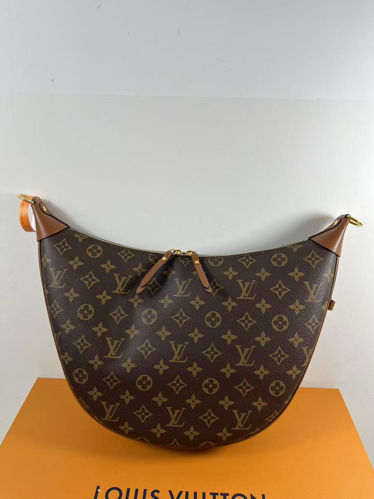 LV M46311 Loop Hobo bag