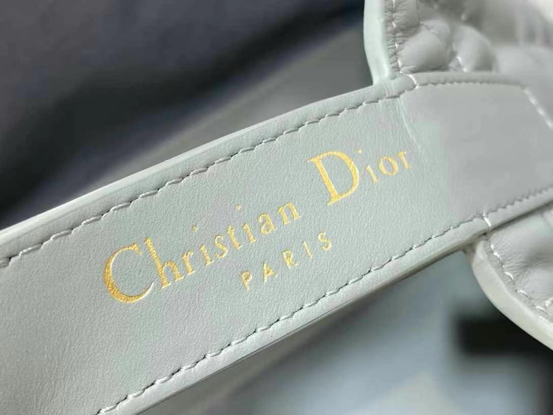 Dior Medium Dior Toujours Bag in stone gray calfskin