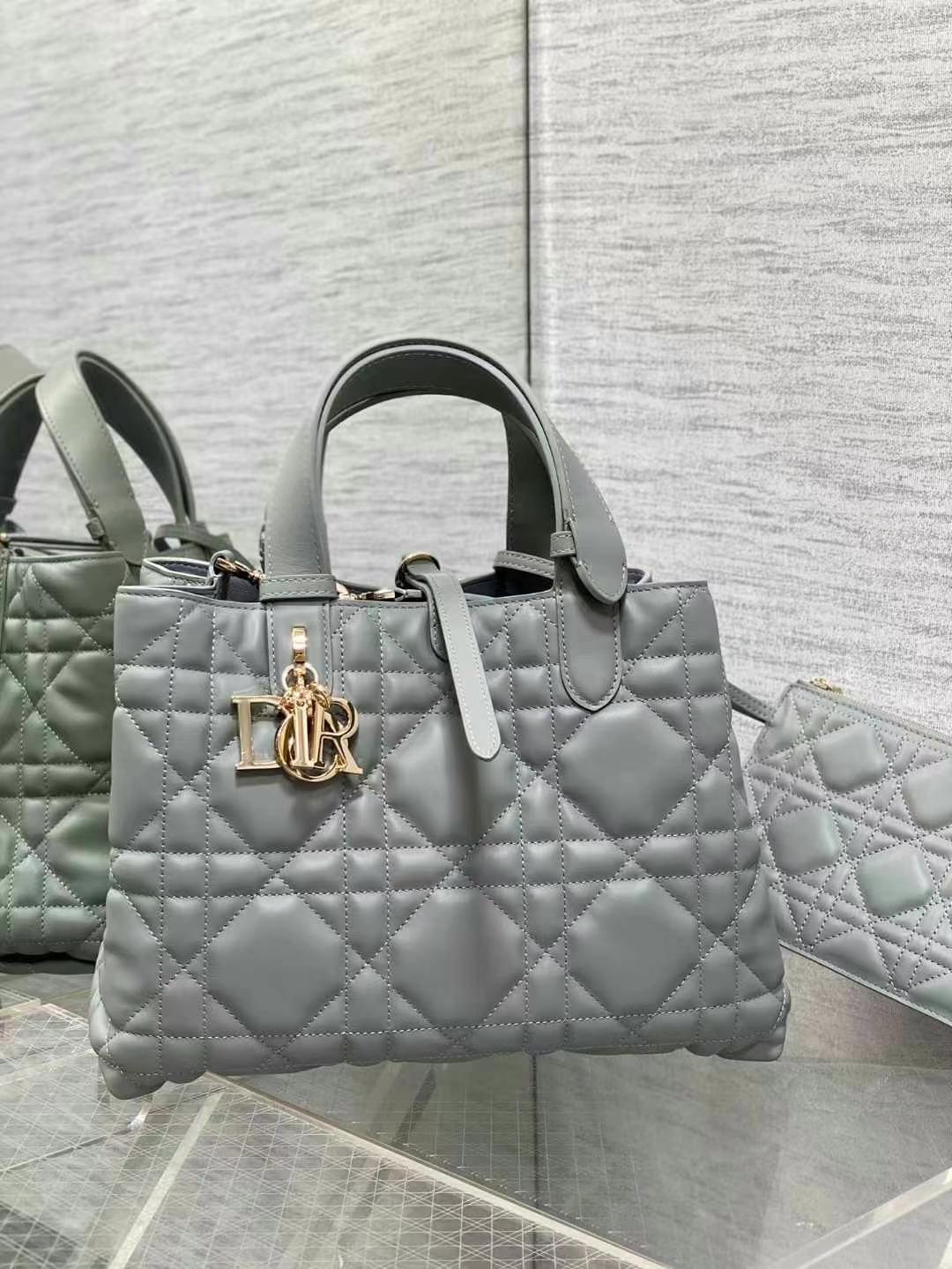 Dior Medium Dior Toujours Bag in stone gray calfskin