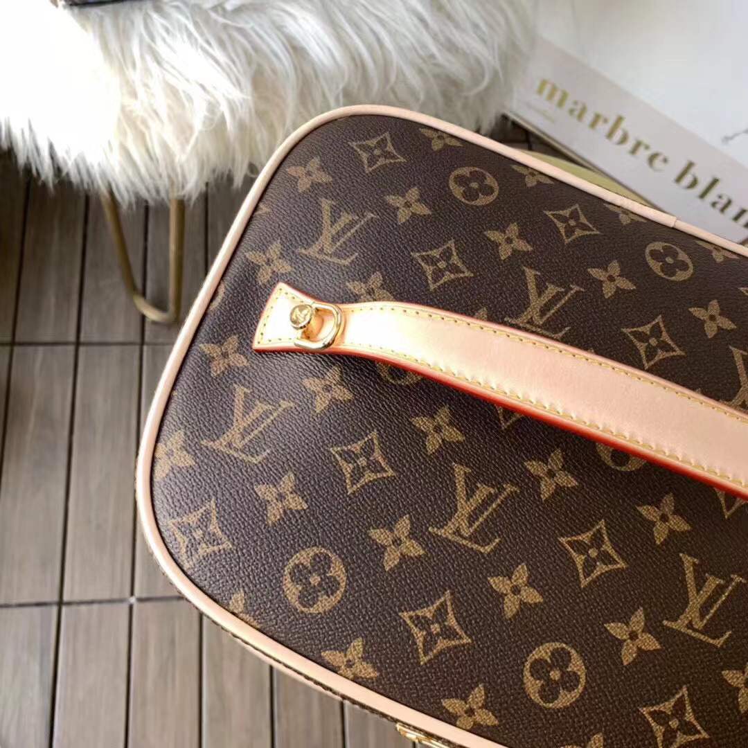 LV Nice Vanity case bag