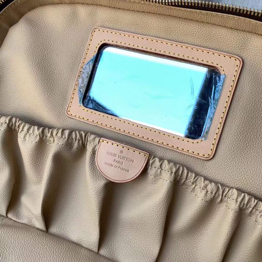 LV Nice Vanity case bag