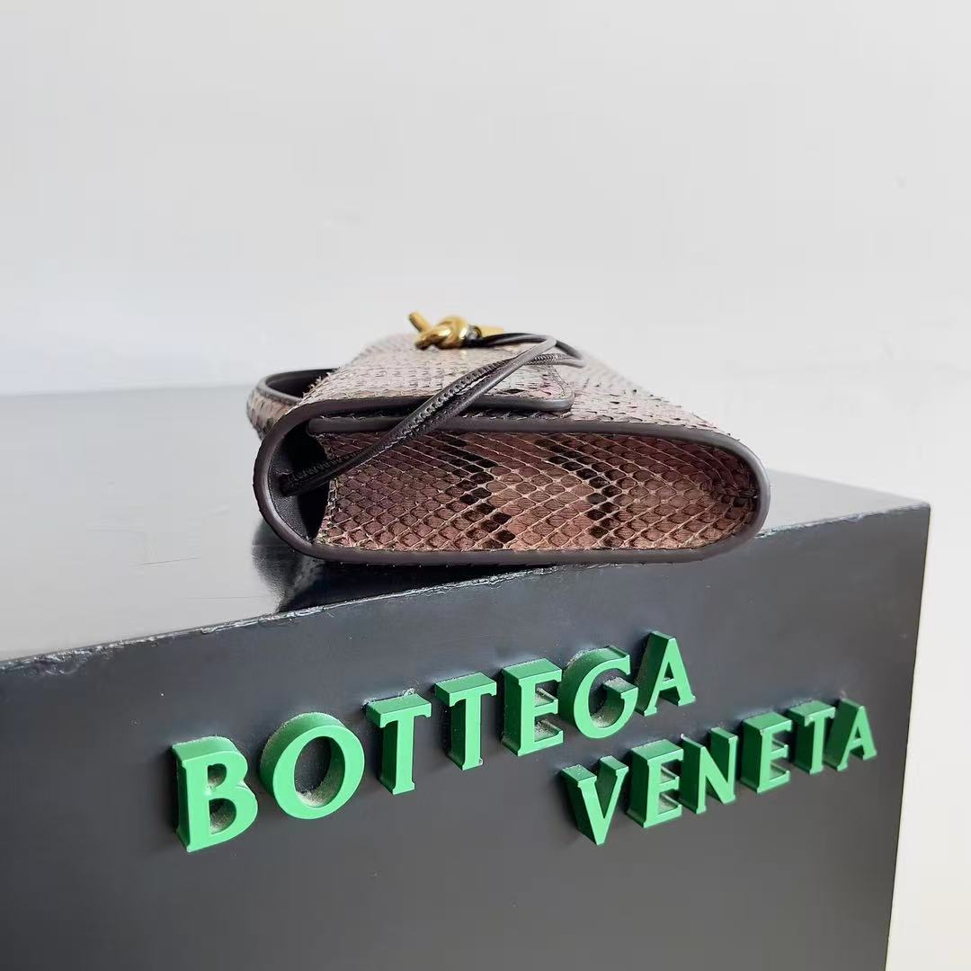 Bottega Veneta Andiamo clutch in python leather featuring a signature gold-tone knot closure