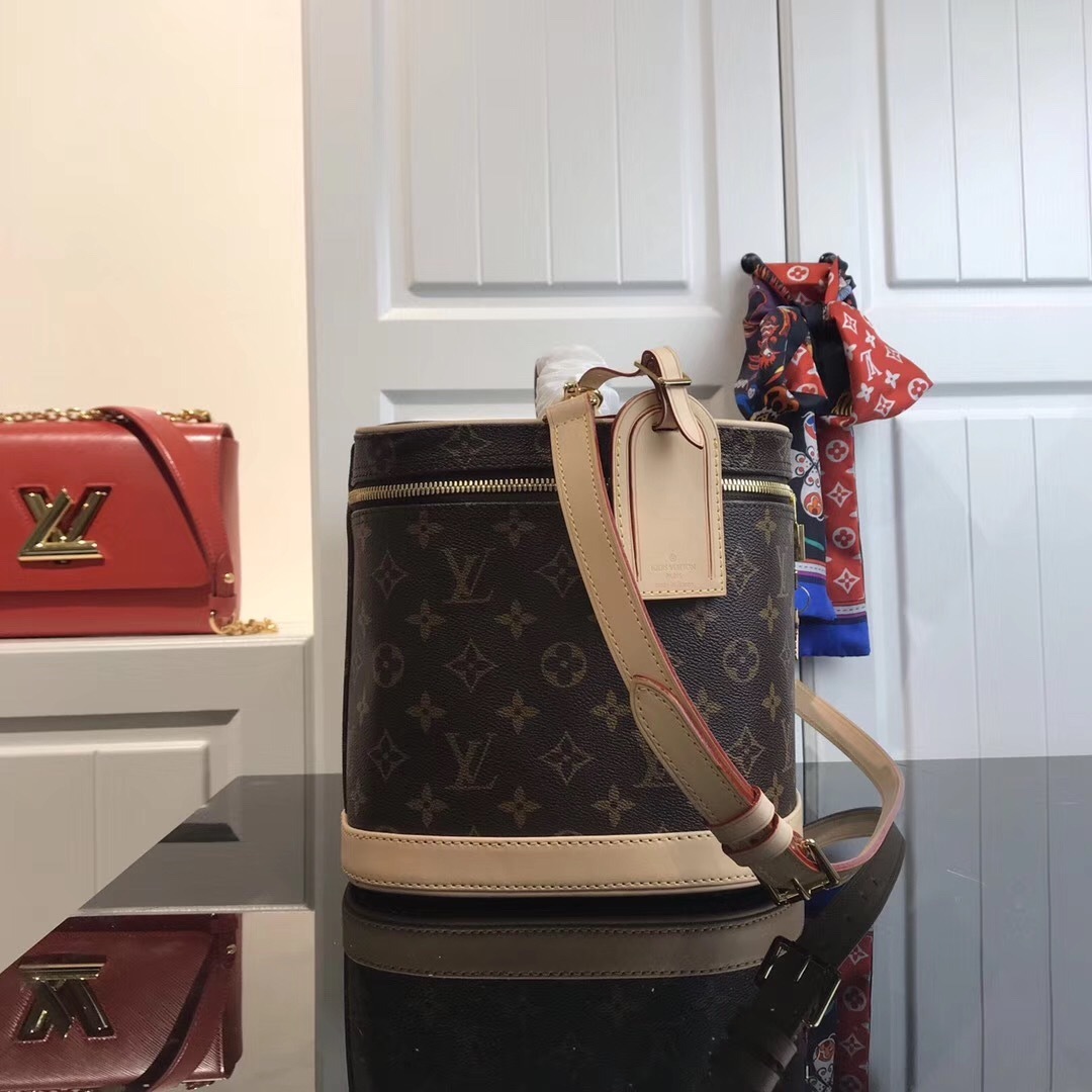 LV Nice Vanity Case bag