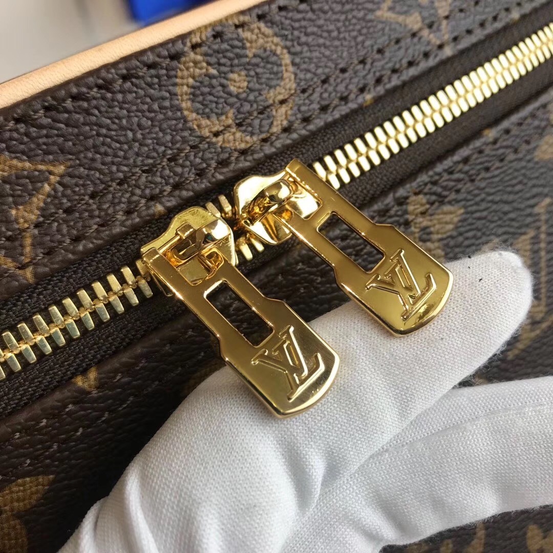 LV Nice Vanity Case bag