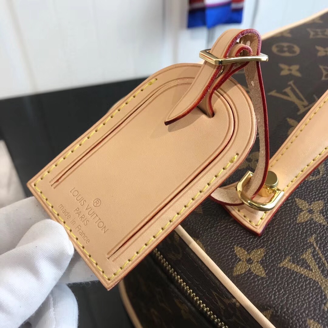 LV Nice Vanity Case bag