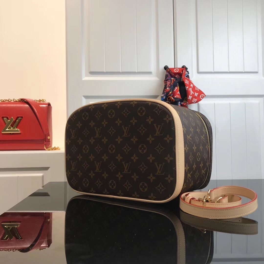 LV Nice Vanity Case bag