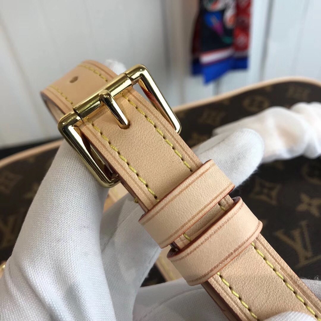 LV Nice Vanity Case bag