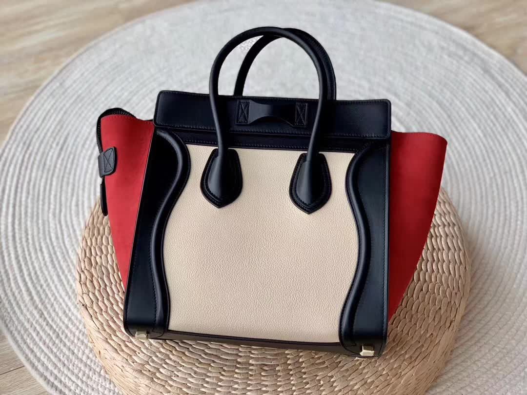 Celine Luggage Tote in a tricolor