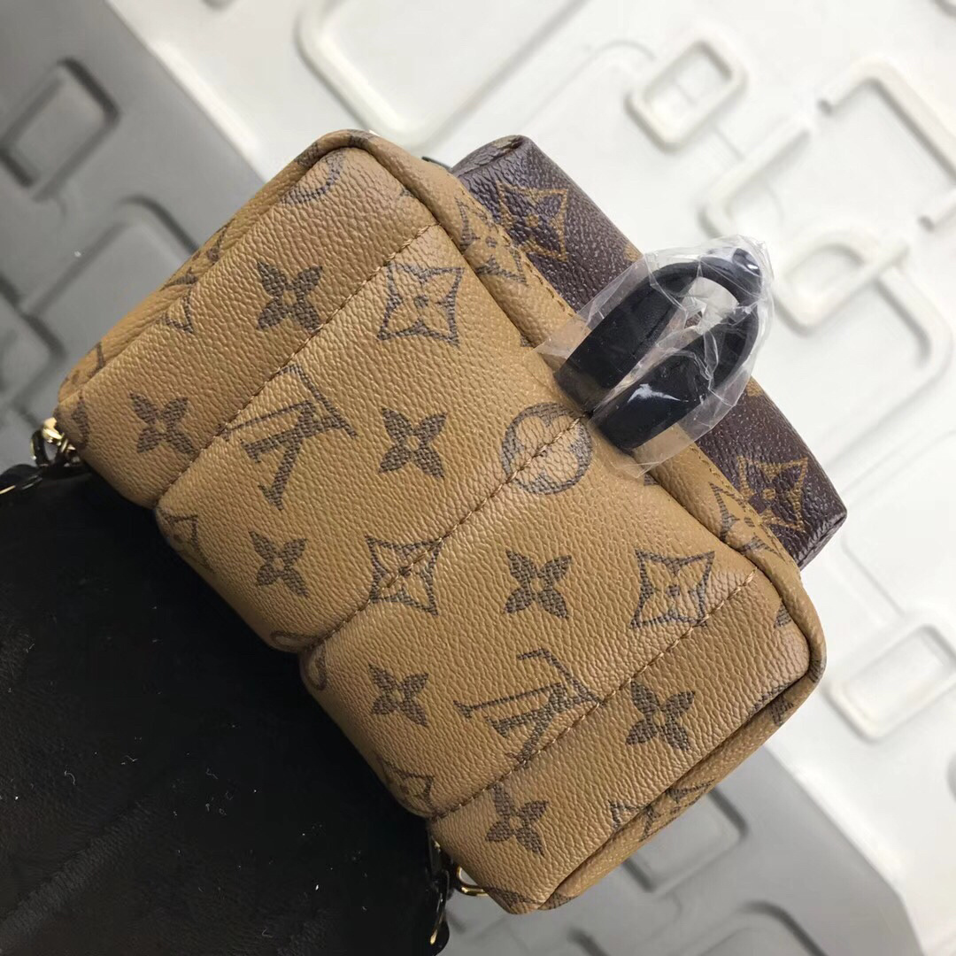 LV Palm Springs Mini Backpack in Monogram Reverse canvas