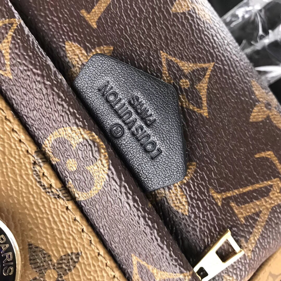 LV Palm Springs Mini Backpack in Monogram Reverse canvas