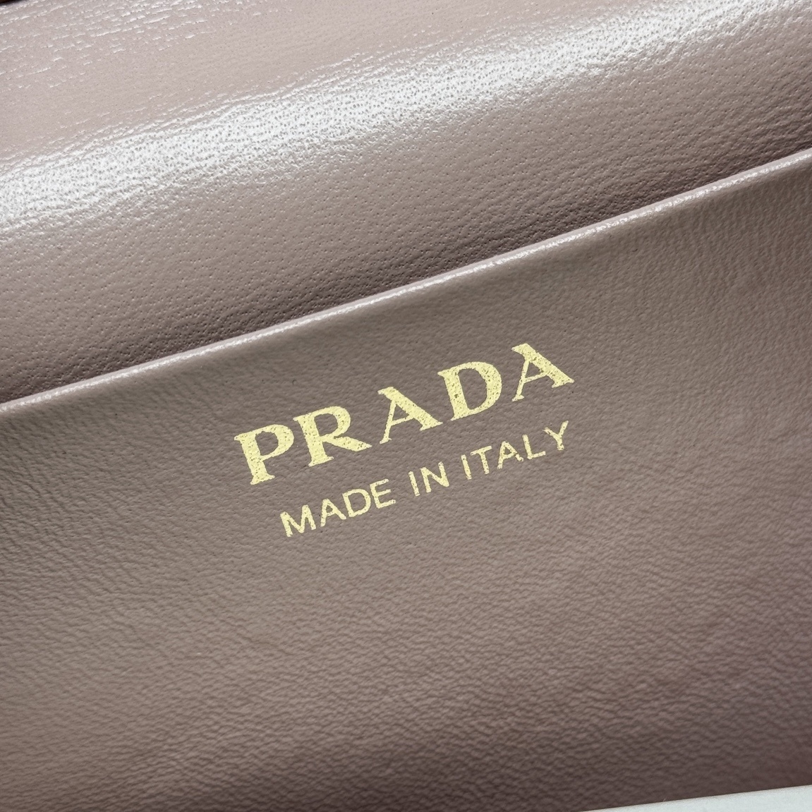 Prada Leather Mini-Bag Vanity with gold hardware