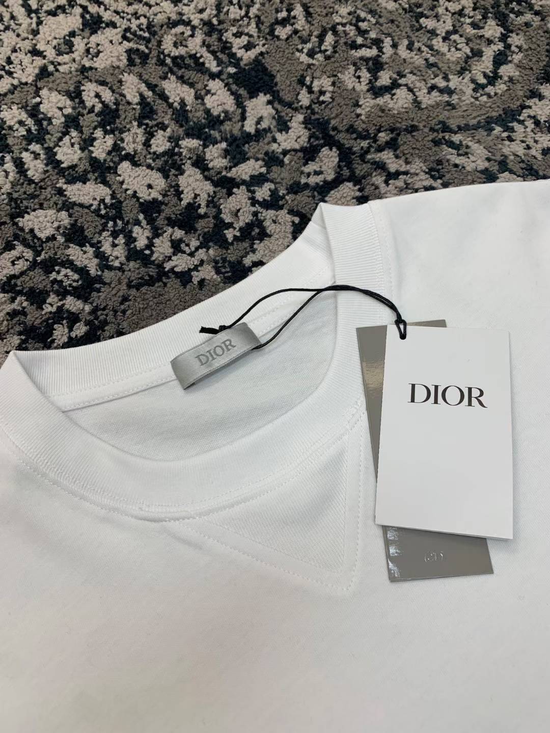 Dior x Cactus Jack Oversized T-shirt from the SS22 collection, featuring red embroidery