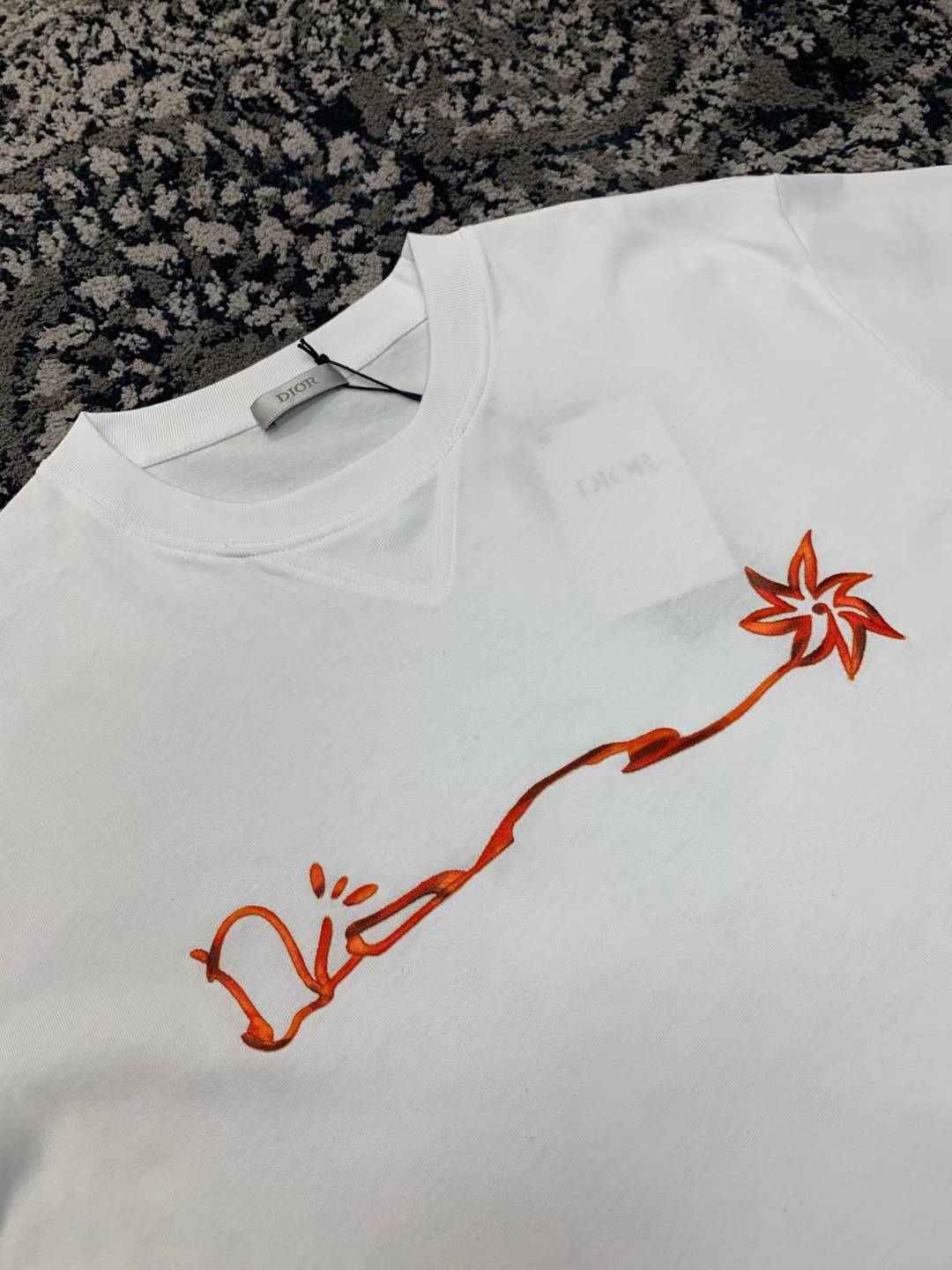 Dior x Cactus Jack Oversized T-shirt from the SS22 collection, featuring red embroidery