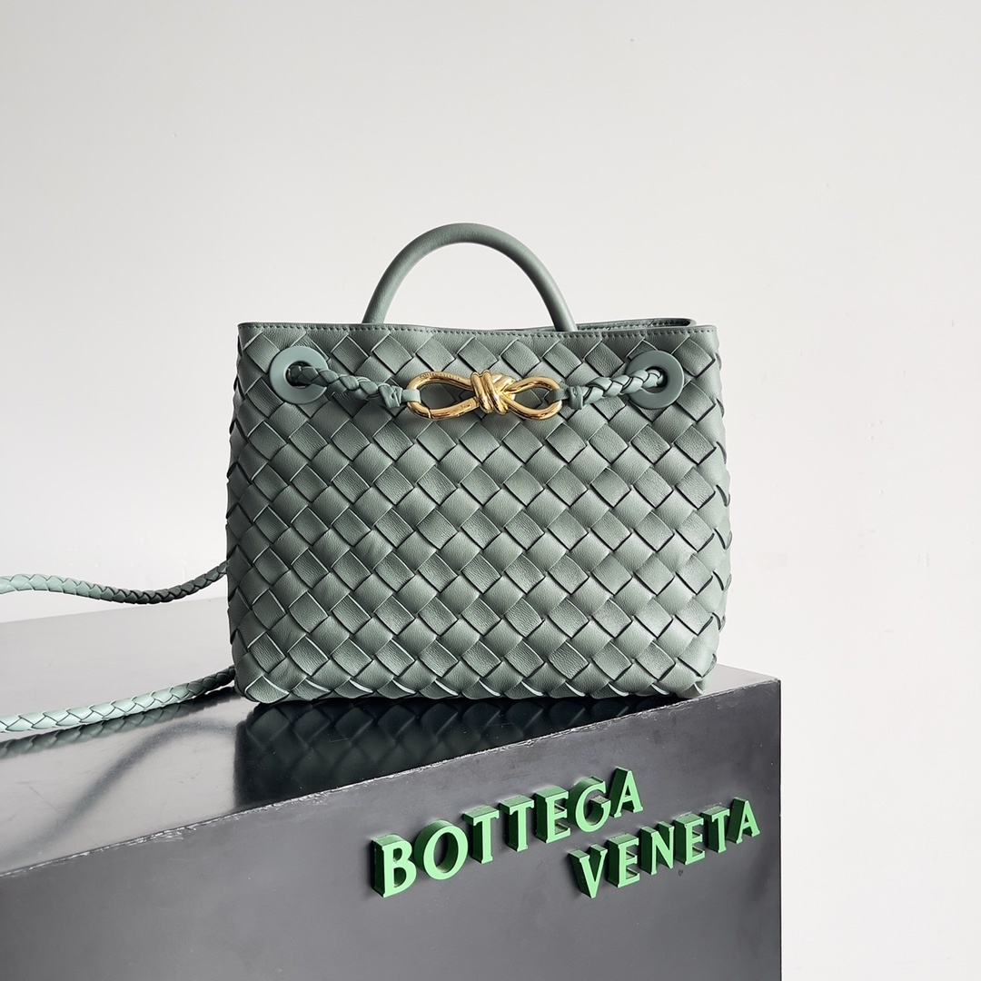 Bottega Veneta Andiamo Small Leather Bag