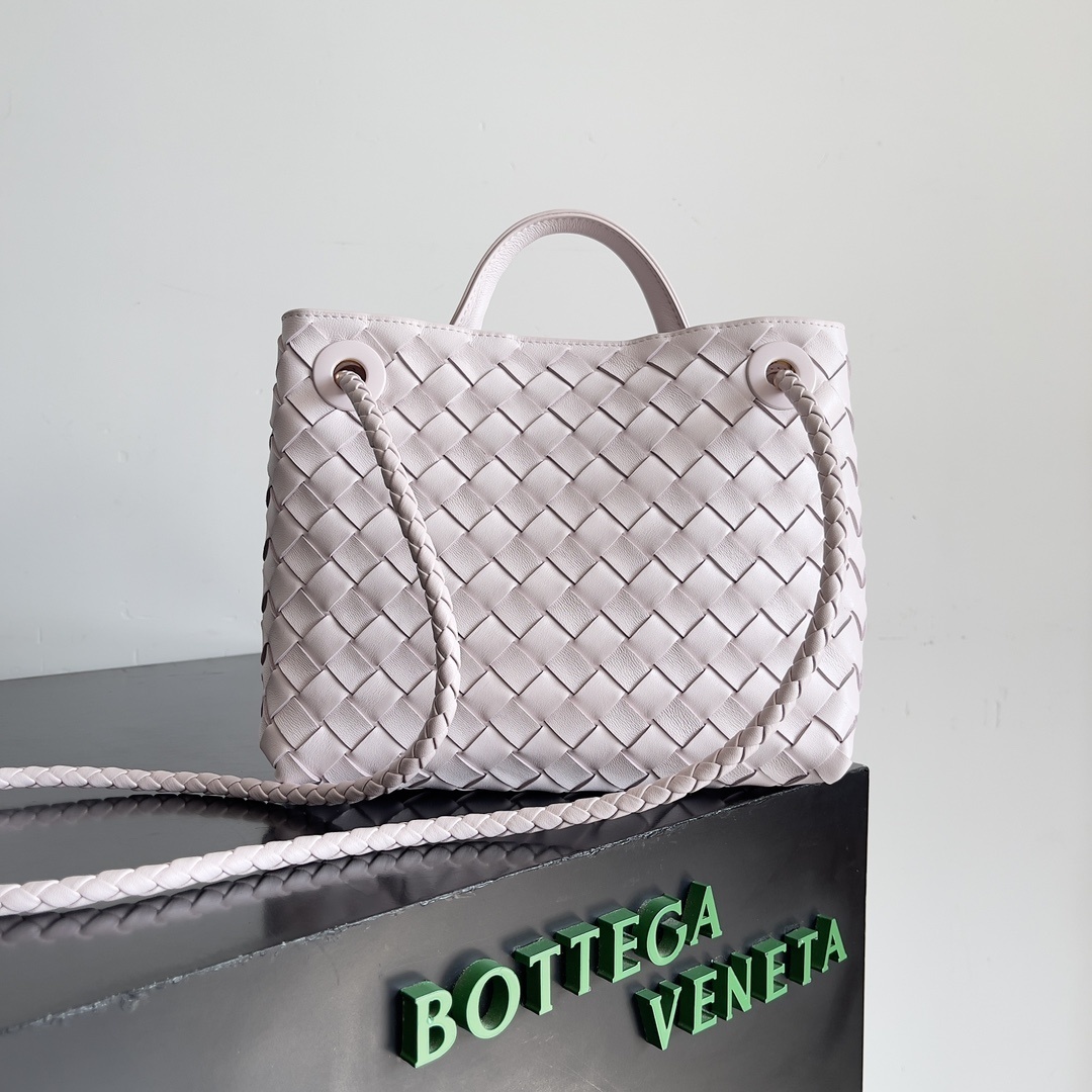 Bottega Veneta Andiamo Small Top Handle Bag